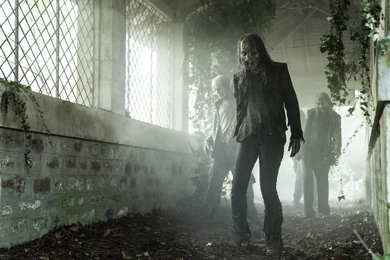 The Walking Dead: Daryl Dixon, série estreia no Brasil pela AMC