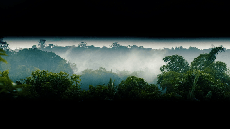 Série com histórias da Amazônia estreia debatendo a agricultura sustentável na floresta 1