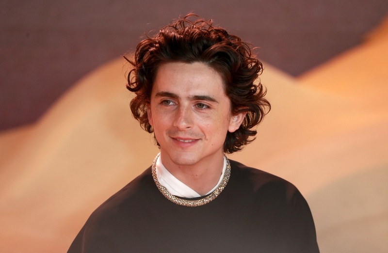 Timothée Chalamet será apresentador e cantor no Saturday Night Live