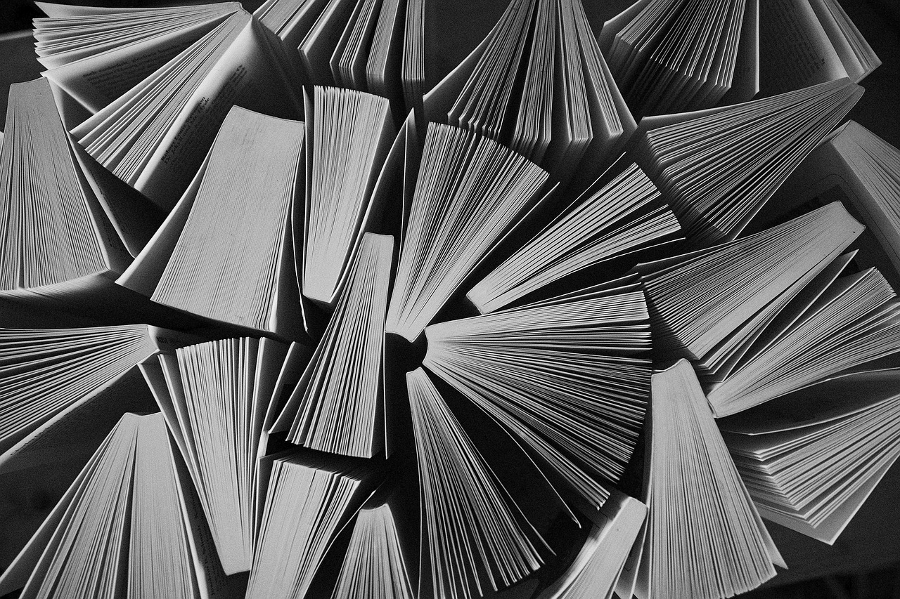 library, wisdom, reading, knowledge, education, study, read, book, library, library, library, library, reading, reading, education, education, education, study, study, book, book, book, book, book-7720589.jpg